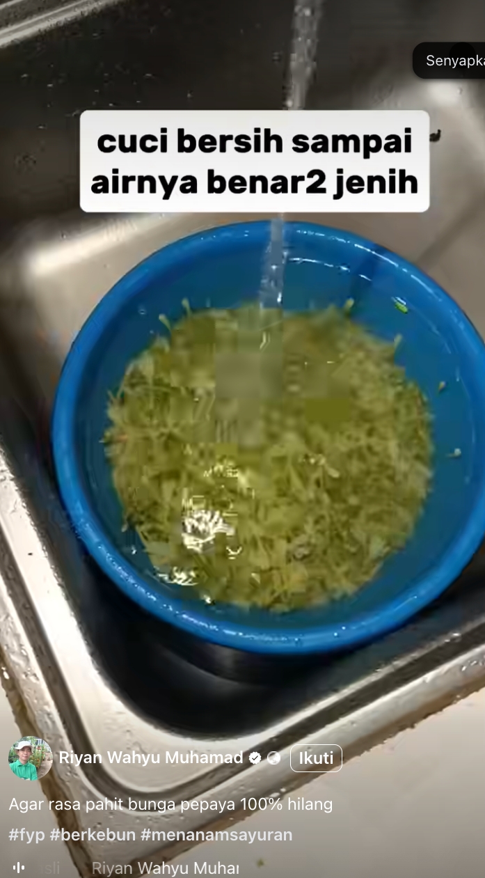 5 Cara jitu menghilangkan pahit bunga pepaya, kini masak tumis nggak khawatir lagi