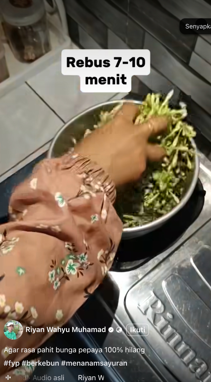 5 Cara jitu menghilangkan pahit bunga pepaya, kini masak tumis nggak khawatir lagi