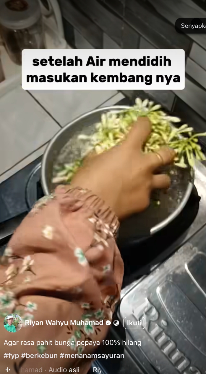 5 Cara jitu menghilangkan pahit bunga pepaya, kini masak tumis nggak khawatir lagi