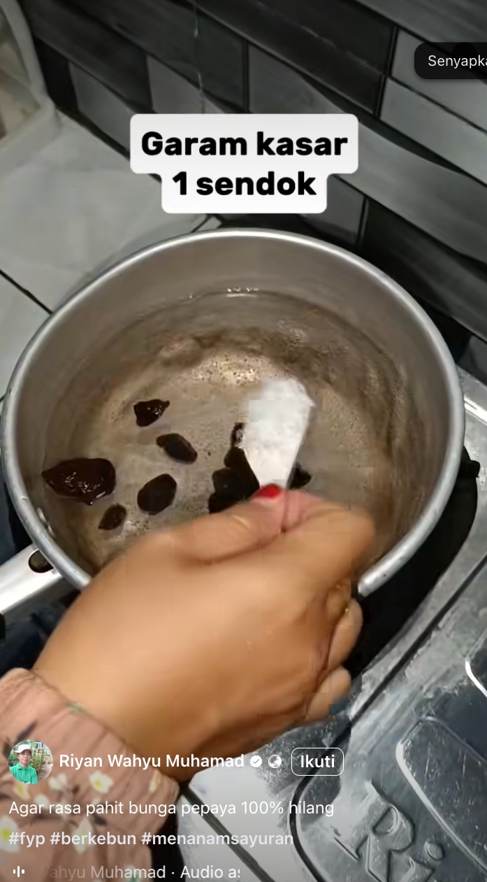 5 Cara jitu menghilangkan pahit bunga pepaya, kini masak tumis nggak khawatir lagi