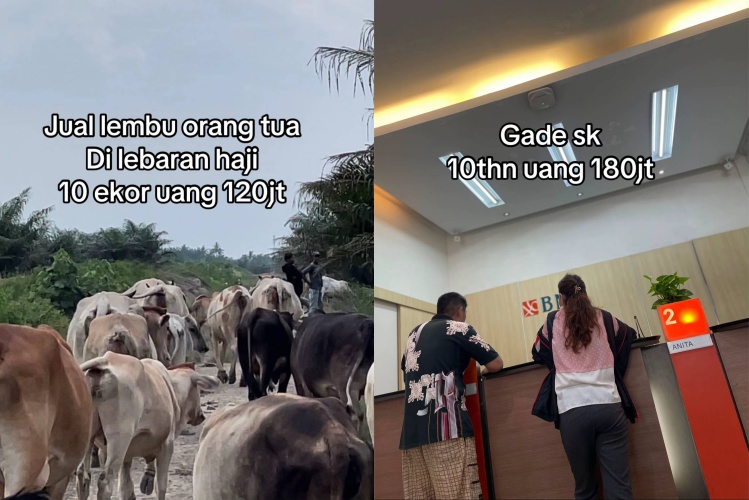 Viral kisah pasutri cari modal Rp300 juta buat buka cafe sampai gadai SK, bukannya sukses malah ngenes