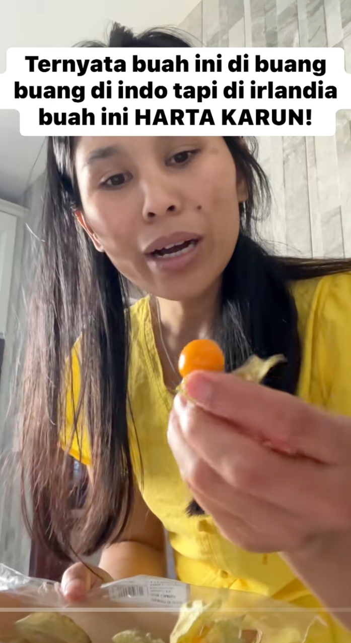 Di Indonesia dibuang-buang, di Irlandia bisa sampai Rp200 ribu 10 biji, ini 13 manfaat buah ciplukan