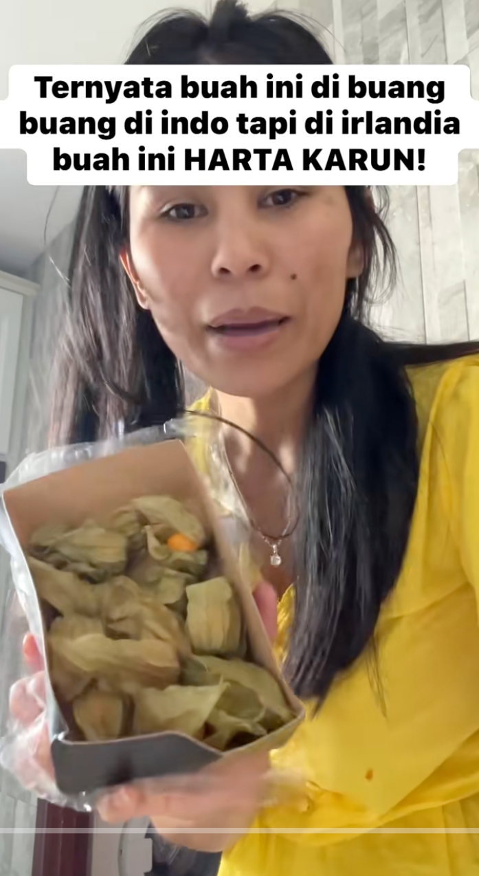 Di Indonesia dibuang-buang, di Irlandia bisa sampai Rp200 ribu 10 biji, ini 13 manfaat buah ciplukan