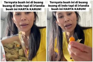 Di Indonesia dibuang-buang, di Irlandia bisa sampai Rp200 ribu 10 biji, ini 13 manfaat buah ciplukan