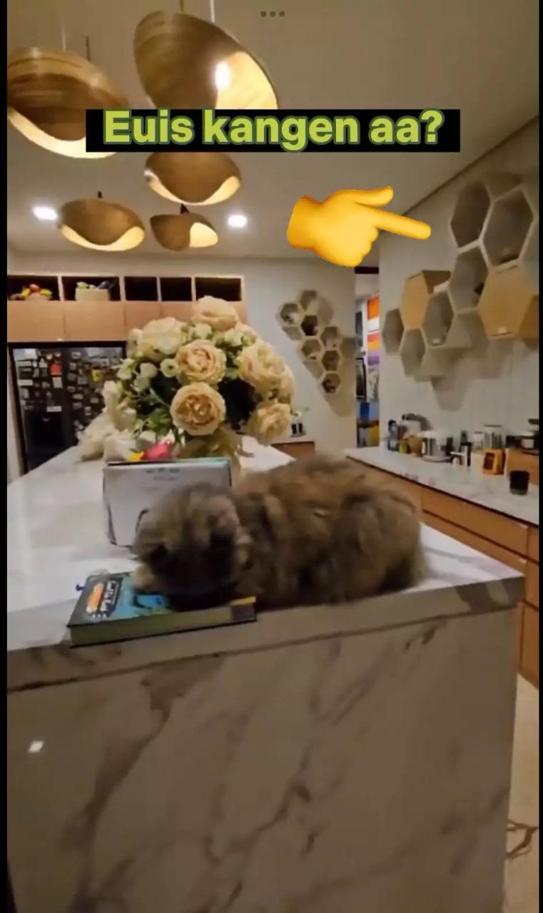 Desainnya unik, ini 5 cara Atalia Praratya menata dapurnya agar visualnya estetik sedap dipandang