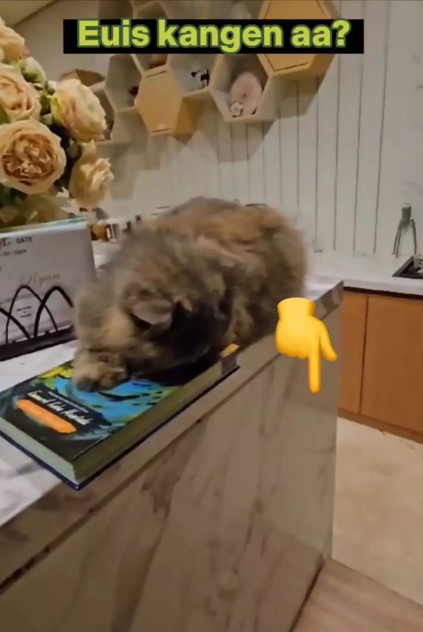 Desainnya unik, ini 5 cara Atalia Praratya menata dapurnya agar visualnya estetik sedap dipandang