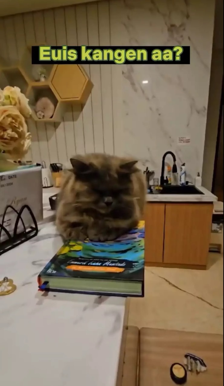 Desainnya unik, ini 5 cara Atalia Praratya menata dapurnya agar visualnya estetik sedap dipandang