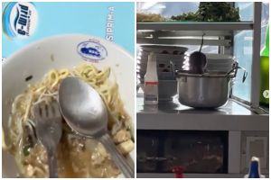 Cewek ini syok jadi saksi tikus jilatin panci warung saat kelar makan mi, cek risikonya yuk!