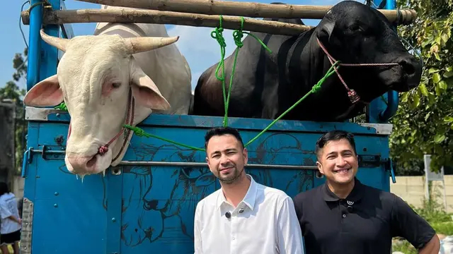 7 Artis kurban sapi di Idul Adha 2025, Ruben Onsu kurban sapi jumbo