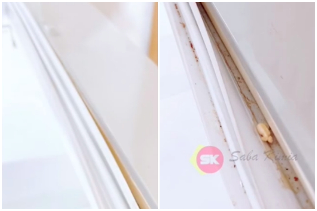 Tak perlu digosok pasta gigi, ini trik praktis bersihkan jamur di karet pintu kulkas