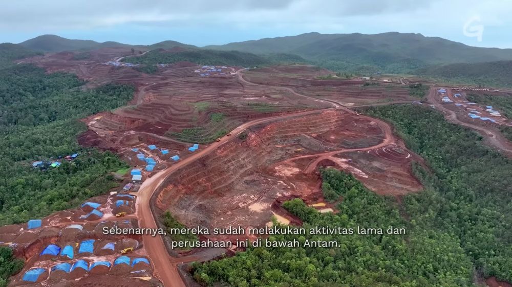 8 Potret before-after Raja Ampat usai jadi tambang nikel beroperasi, hutan mulai gundul