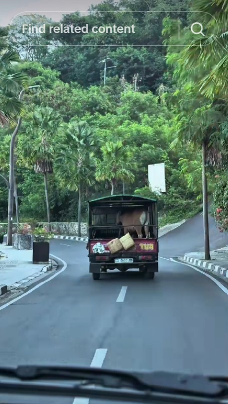 Rayakan Idul Adha dengan berbagi keberkahan, ini 9 momen haru Atta Halilintar berkurban di NTT