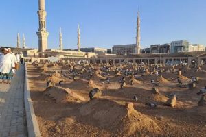 183 Jemaah haji Indonesia wafat di Tanah Suci, mayoritas disebabkan penyakit ini