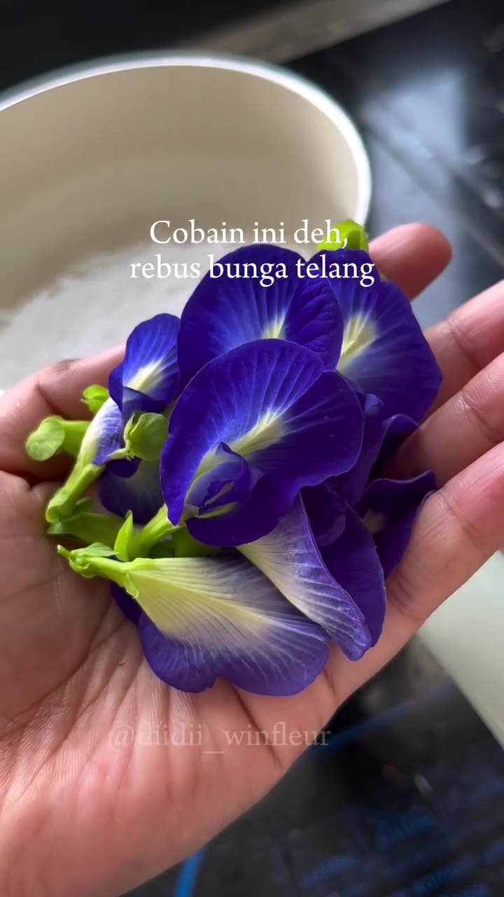 Tak perlu perawatan mahal, ini cara cegah rambut rontok dan uban cuma pakai 1 jenis bunga