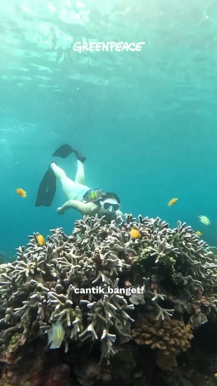 9 Potret Angela Gilsha menyusuri Raja Ampat, ungkap kondisi air laut mulai keruh