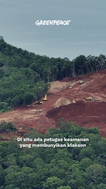 9 Potret Angela Gilsha menyusuri Raja Ampat, ungkap kondisi air laut mulai keruh