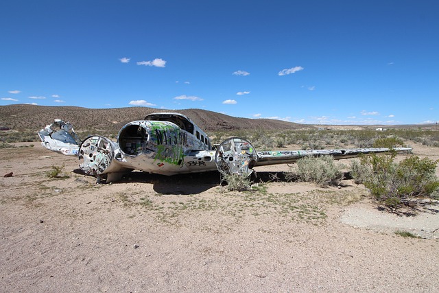 7 Fakta Vishwash Kumar lolos dari maut kecelakaan Air India, selamat usai keluar dari pintu darurat