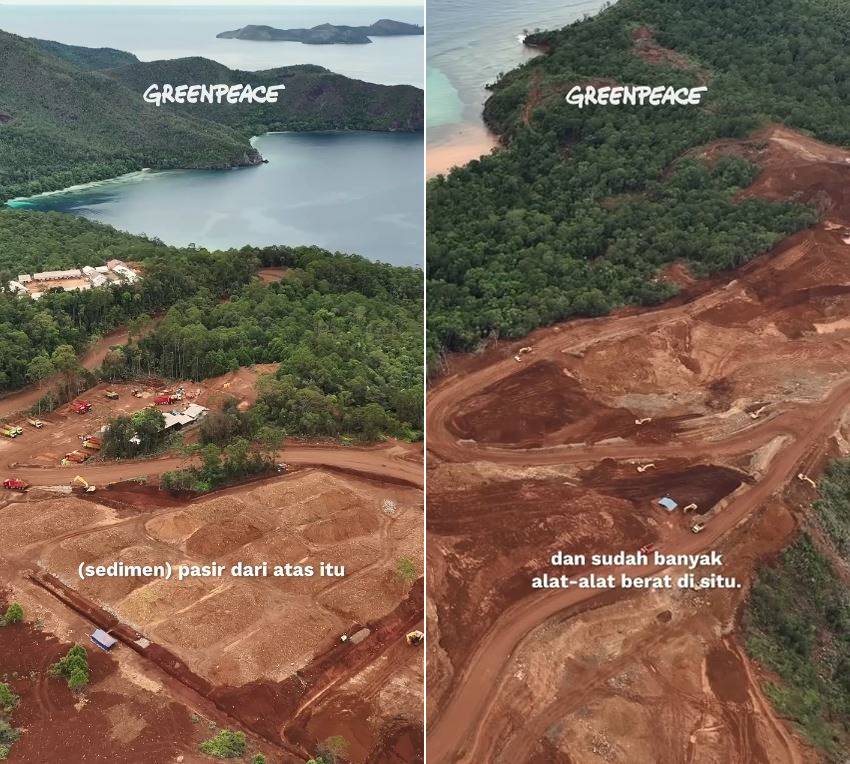 Cerita Angela Gilsha dikejar kapal misterius usai snorkeling di dekat lokasi tambang Raja Ampat