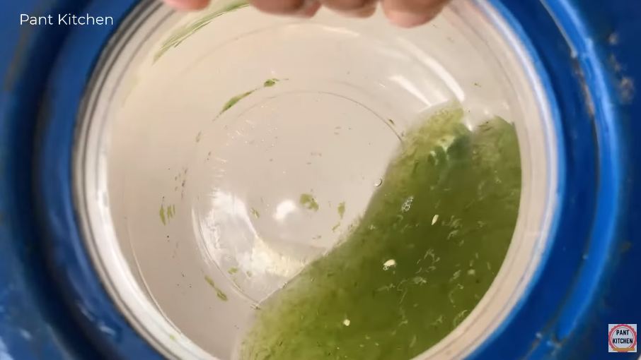 Trik agar lumut di bagian dalam dispenser hilang, kinclong lagi dengan 2 bahan dapur