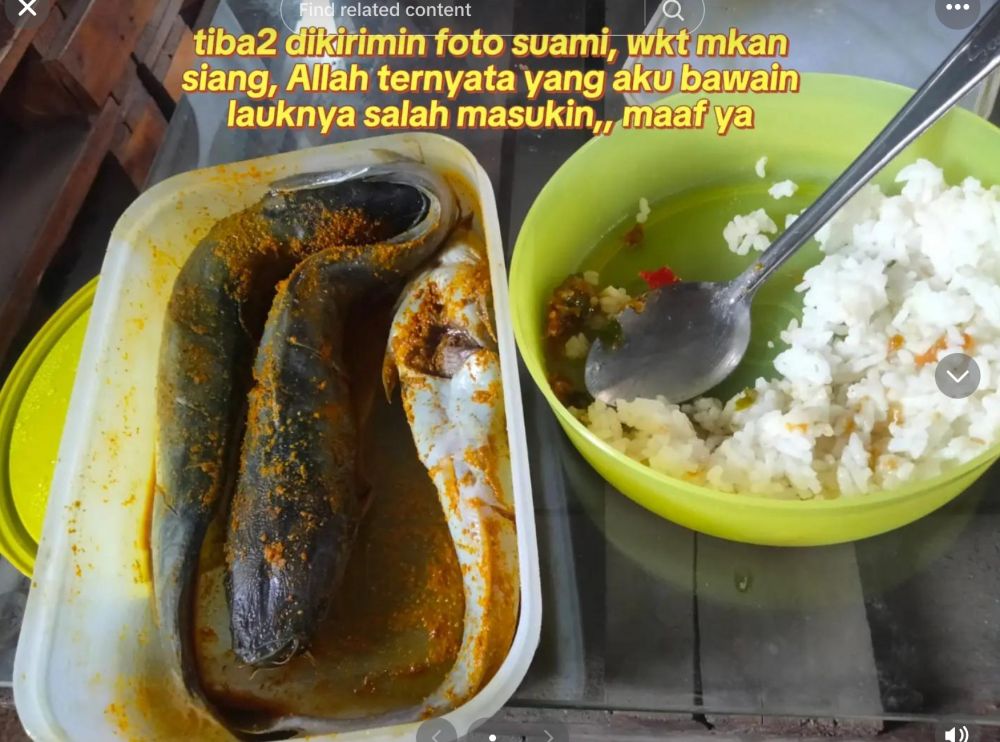 Momen kocak istri salah bawain bekal suami lele mentah, gigit jari makan nasi doang