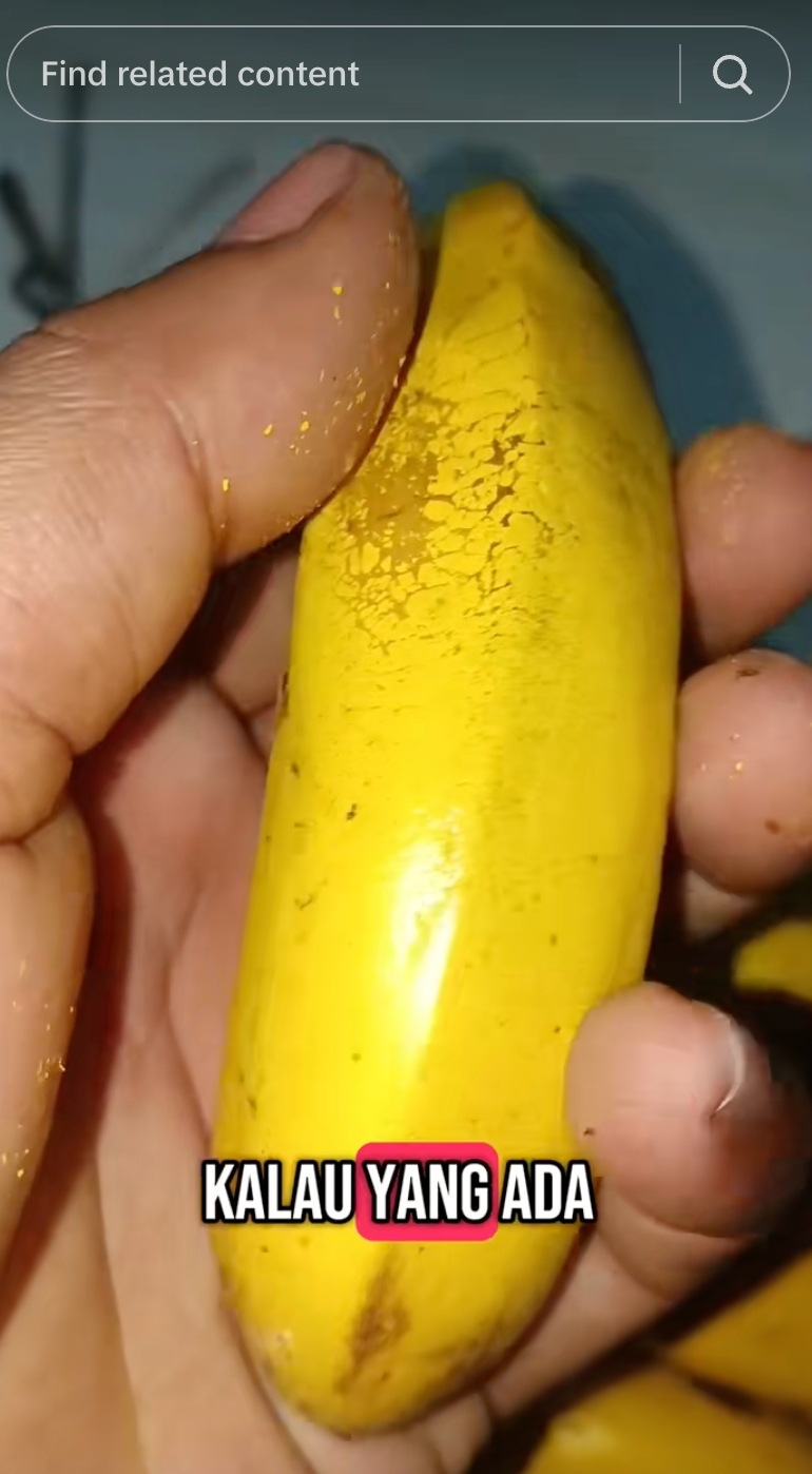 Niat beli pisang matang eh ternyata hasil dicat pilox, biar apa ya tujuannya?