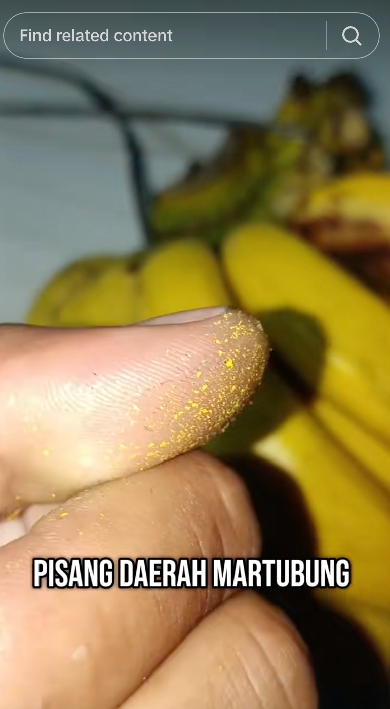Niat beli pisang matang eh ternyata hasil dicat pilox, biar apa ya tujuannya?