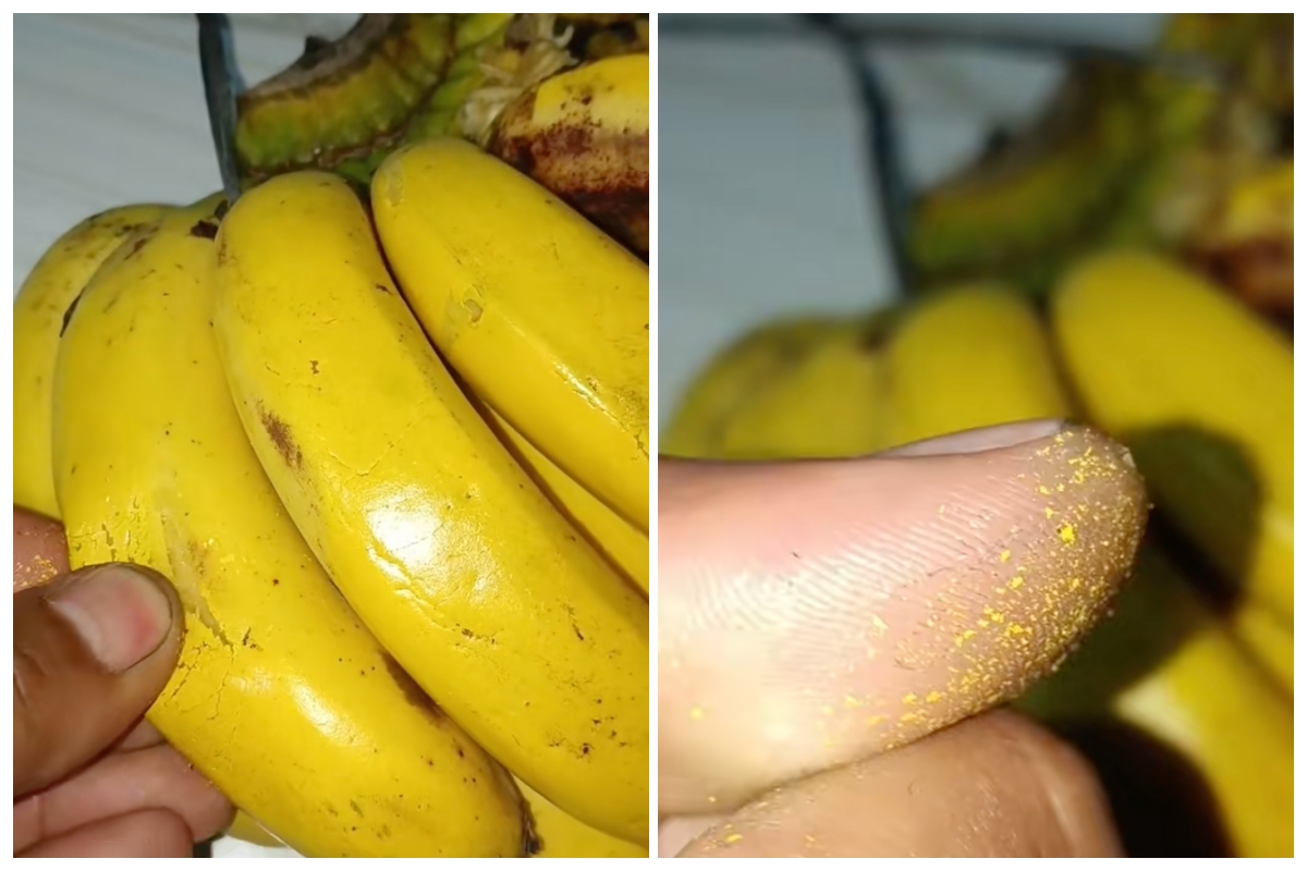 Niat beli pisang matang eh ternyata hasil dicat pilox, biar apa ya tujuannya?