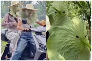 Viral tren unik jadikan duan lotus pelindung dari sinar matahari, solusi aman pengganti sunscreen?