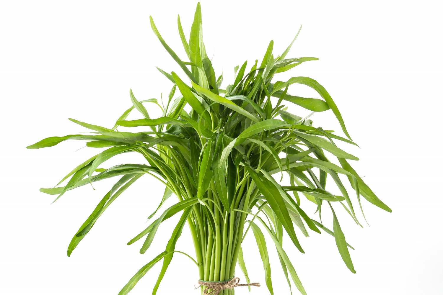 Gampang banget! Cara simpan kangkung yang bikin tahan sampai 5 hari