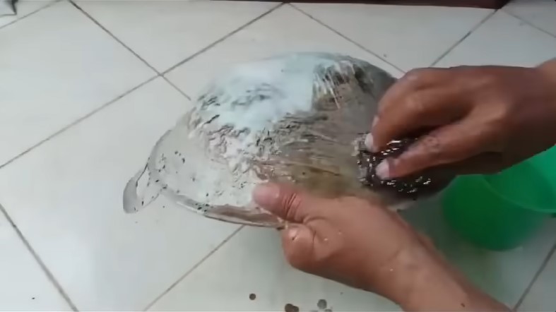 Nggak perlu ngegosok sampai berotot! Ini cara bersihin wajan gosong antidrama