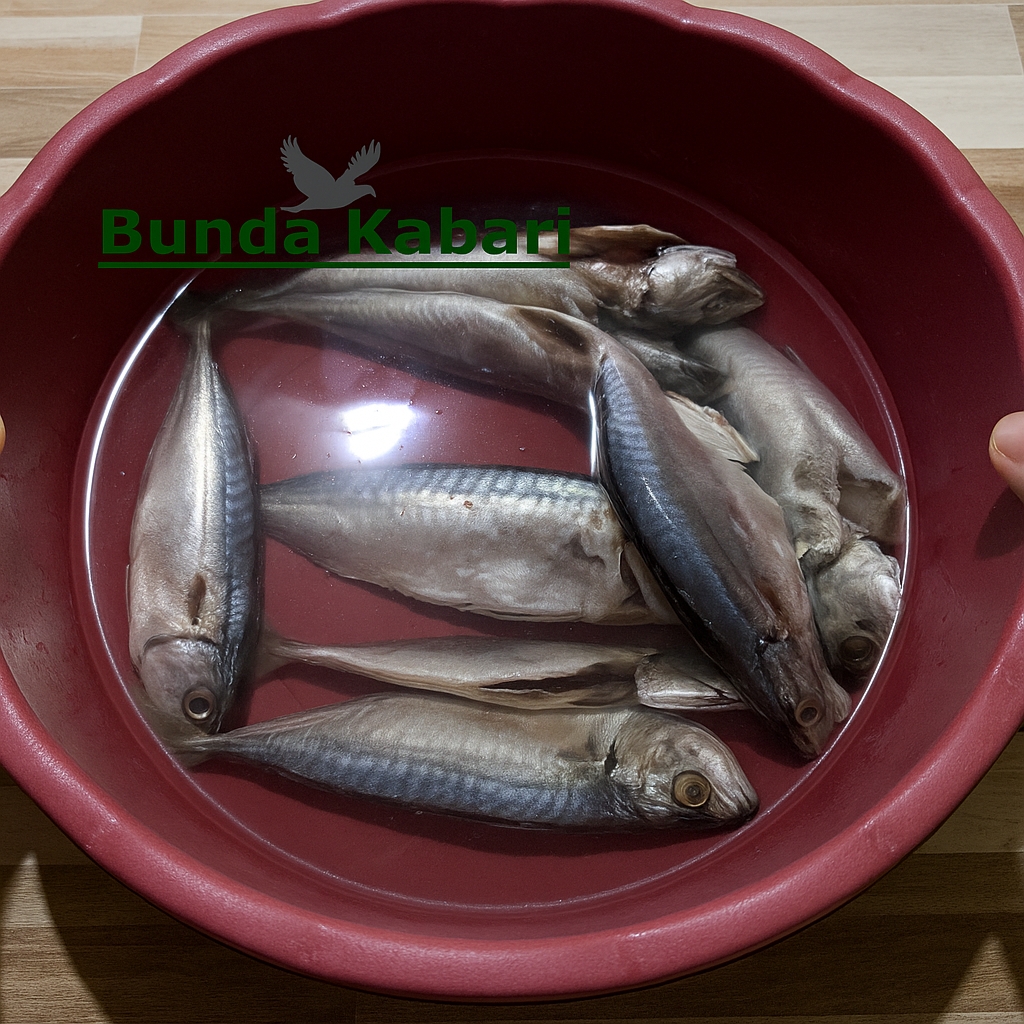 Ikan bebas formalin dalam 30 menit, cuma pakai cuka masak