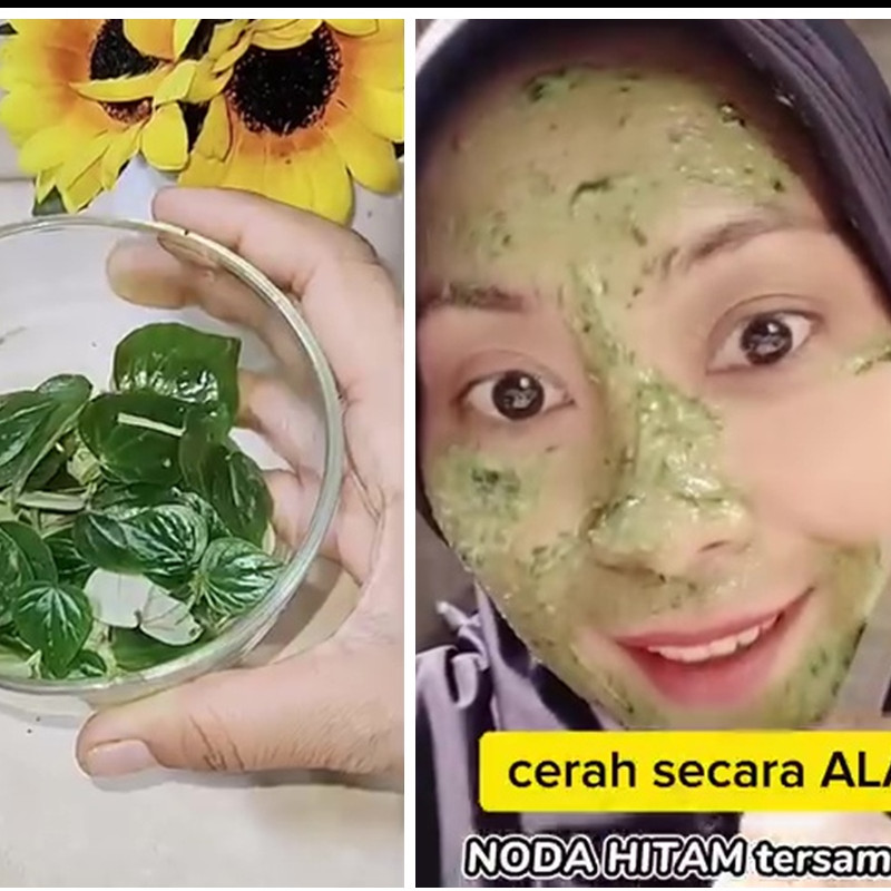 Jenis daun ini bisa bantu hilangkan flek hitam dan cerahkan wajah, begini cara pakainya