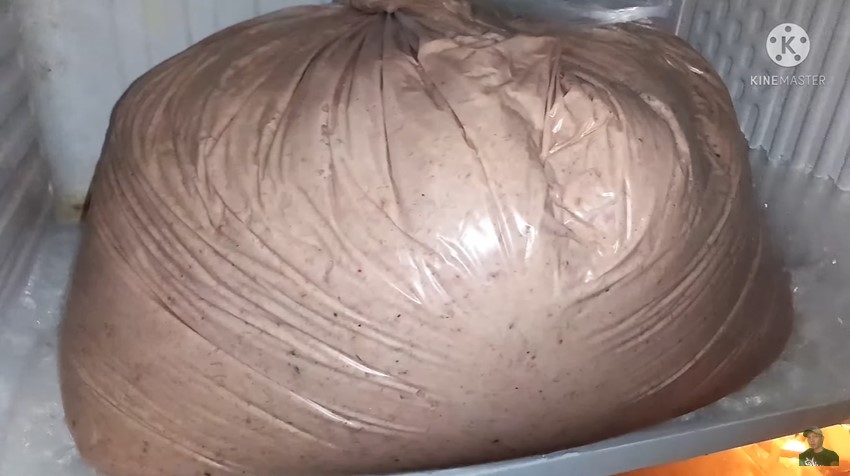 Adonan bakso kamu kelembekan? Nggak usah panik, ini cara mengatasinya tanpa tambah tepung