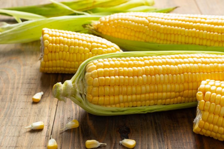 Sering zonk pilih jagung? Ini trik mudah dapat yang manis banget