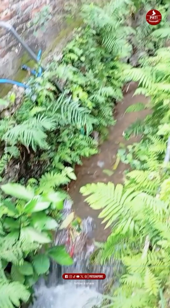 Bak ketiban rezeki nomplok, ini 9 potret warga Pati temukan uang terbungkus plastik di aliran sungai