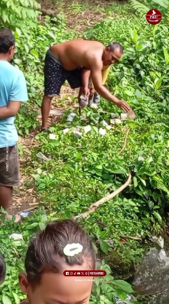 Bak ketiban rezeki nomplok, ini 9 potret warga Pati temukan uang terbungkus plastik di aliran sungai