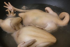 Jangan langsung masak ayam broiler! Rebus dulu pakai trik ini biar lemak dan kolesterolnya rontok