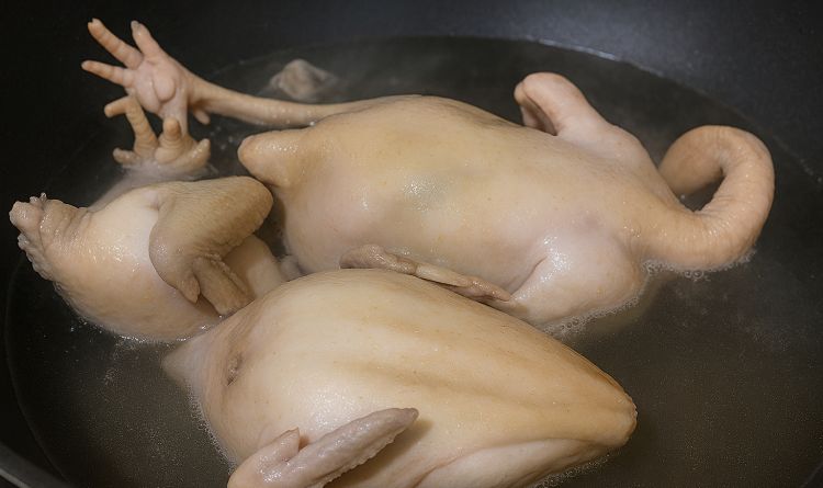 Jangan langsung masak ayam broiler! Rebus dulu pakai trik ini biar lemak dan kolesterolnya rontok