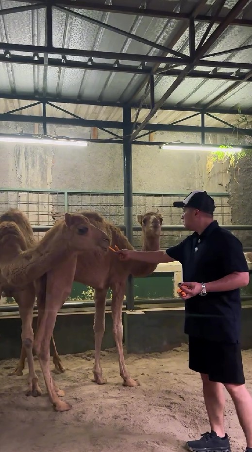 18 tahun menikah, ini 9 potret anniversary Irfan Hakim dan Della, dapat hadiah hewan tak terduga