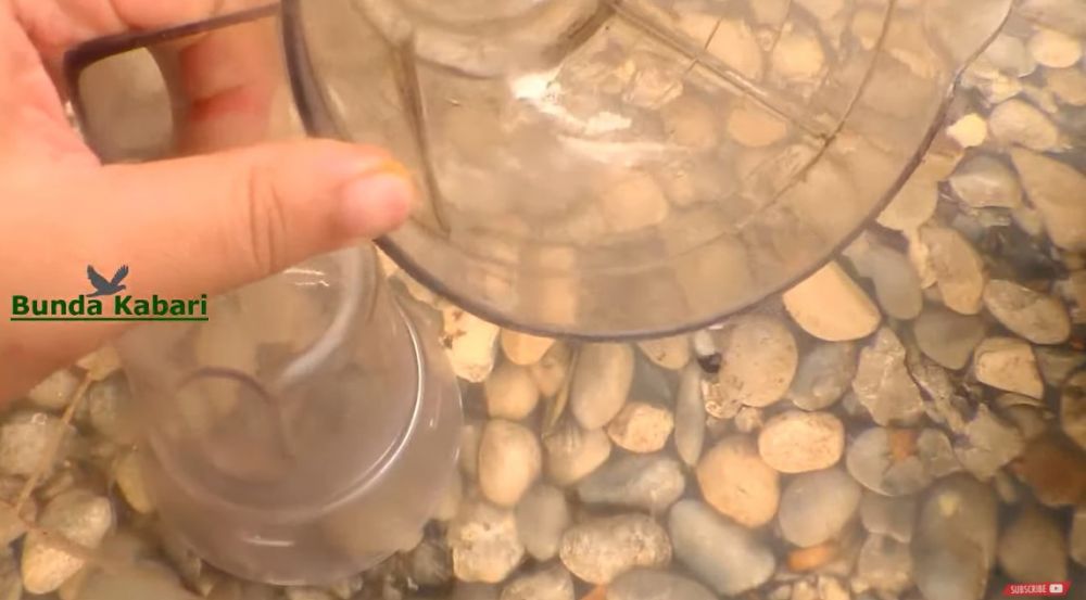 Nggak perlu sabun, ini trik jitu bikin gelas blender buram jadi bening kayak baru