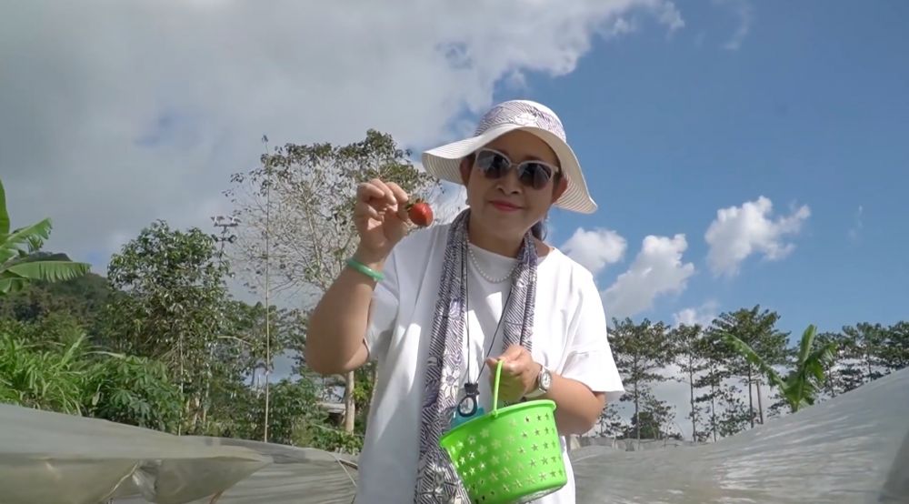 Dari stroberi sampai selada, intip 7 potret segarnya hasil panen dari kebun pribadi Titiek Soeharto