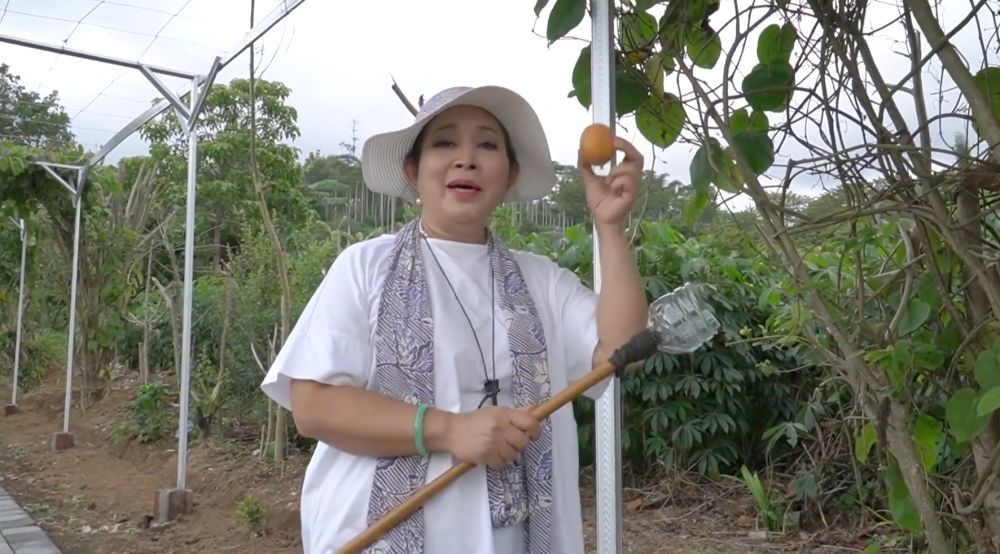 Dari stroberi sampai selada, intip 7 potret segarnya hasil panen dari kebun pribadi Titiek Soeharto
