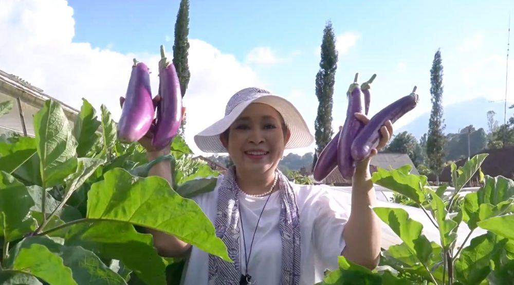 Dari stroberi sampai selada, intip 7 potret segarnya hasil panen dari kebun pribadi Titiek Soeharto