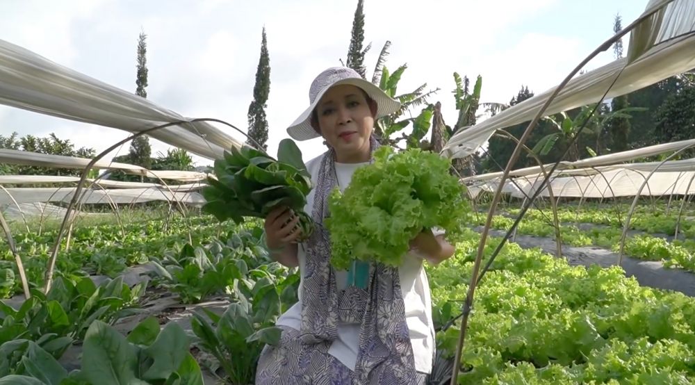 Dari stroberi sampai selada, intip 7 potret segarnya hasil panen dari kebun pribadi Titiek Soeharto
