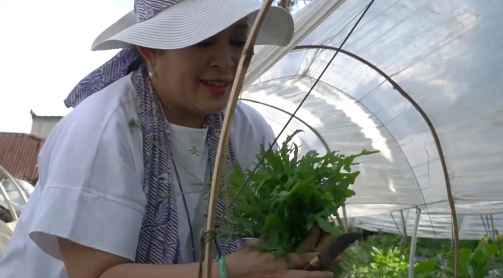Dari stroberi sampai selada, intip 7 potret segarnya hasil panen dari kebun pribadi Titiek Soeharto
