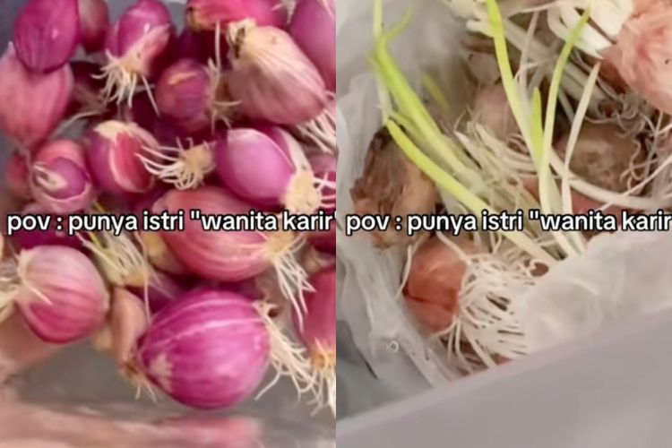 Nyesel baru tahu, ternyata begini cara simpan bawang biar nggak bertunas dan awet berbulan-bulan