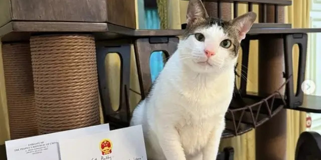 Bobby Kertanegara dikawal polisi saat hadiri event kucing, ini penjelasan Istana