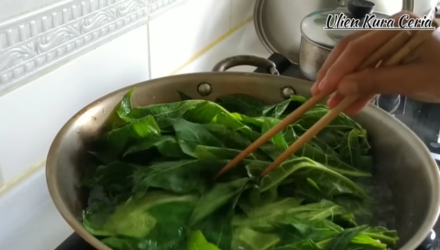 Ampuh menghilangkan rasa pahit daun pepaya, ternyata tak melulu pakai tanah liat dan daun jambu biji