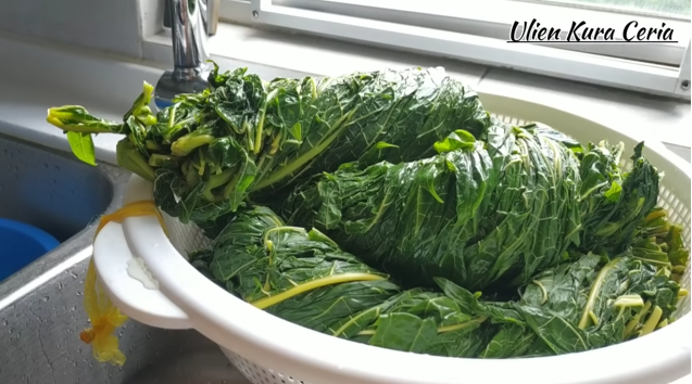 Ampuh menghilangkan rasa pahit daun pepaya, ternyata tak melulu pakai tanah liat dan daun jambu biji