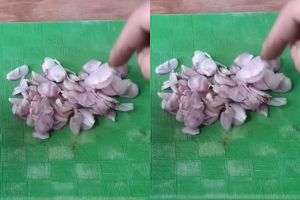 Trik mengiris bawang merah pakai botol bekas, hasilnya rapi, awet, dan aman digunakan